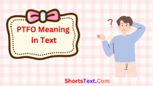 Read more about the article PTFO Meaning in Text: What It Stands For and How to Use It